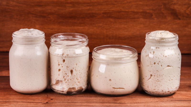 Four glass jars of bubbly sourdough starter on a wooden surface with a matching backdrop.