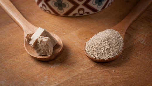 cook pizza-best yeast for pizza dough